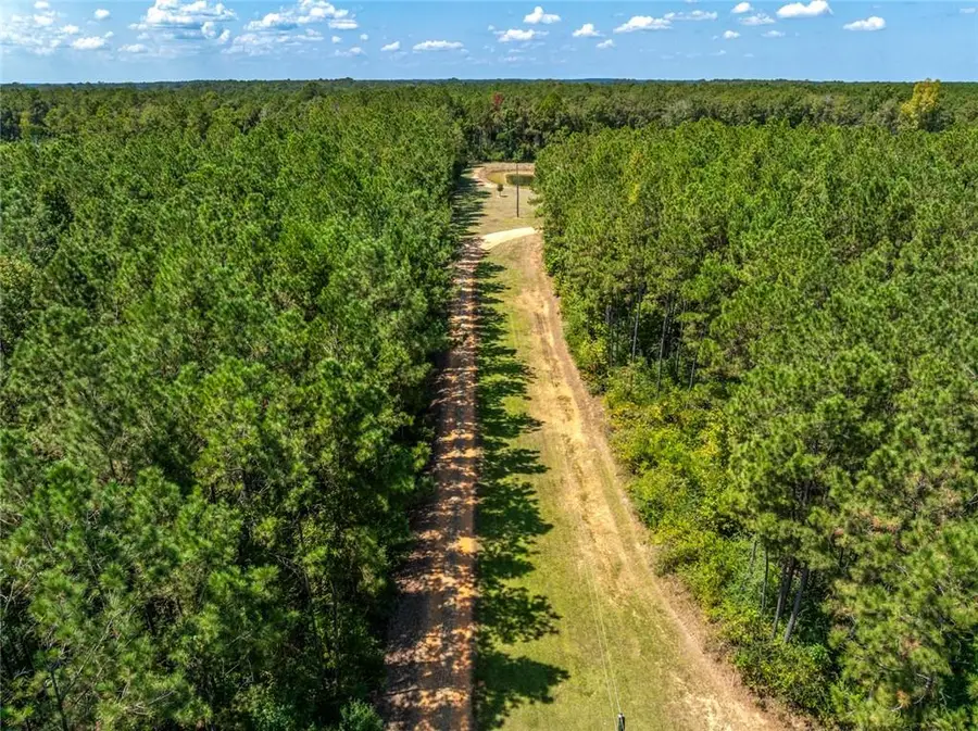 20259 Sylvest Road, Franklinton, LA 70438 - #3