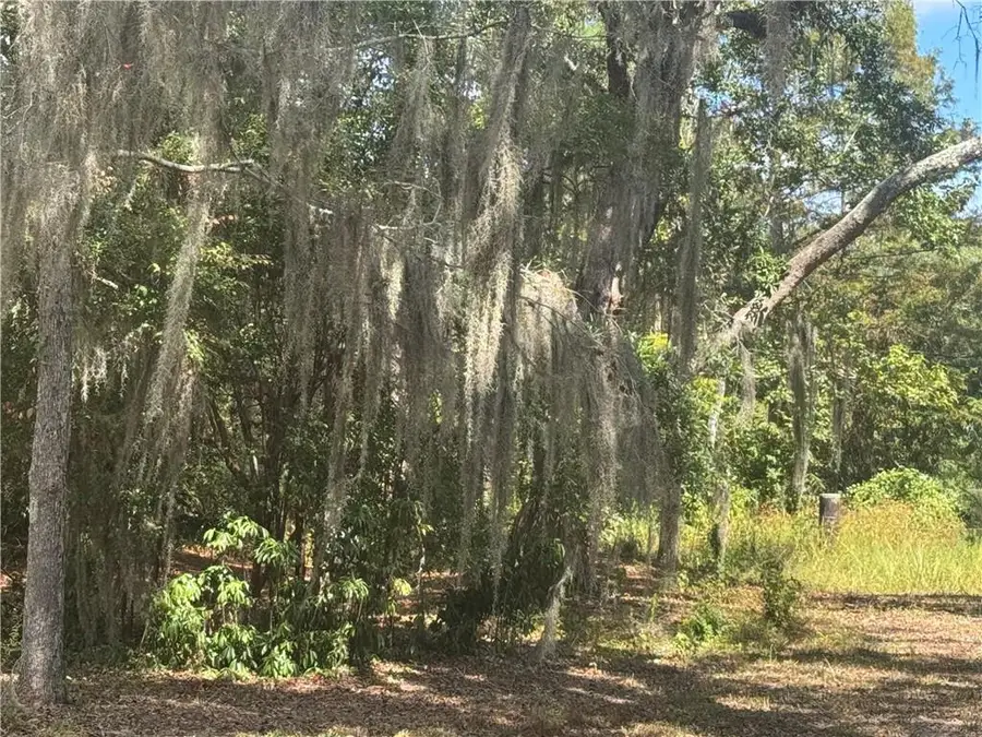 Lemaire Island Road, Slidell, LA 70461 - #2