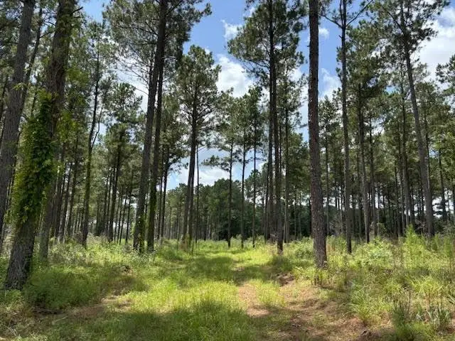 182 Hwy 44, Jayess, MS 39641 - #2