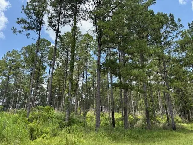 182 Hwy 44, Jayess, MS 39641 - #3