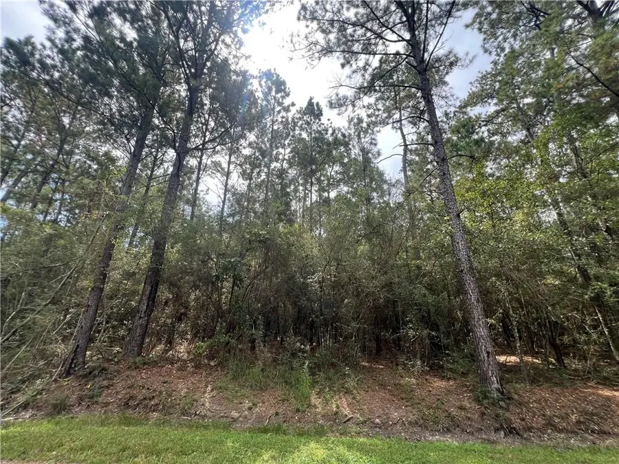 Tampa Circle, Pearlington, MS 39572 - #2