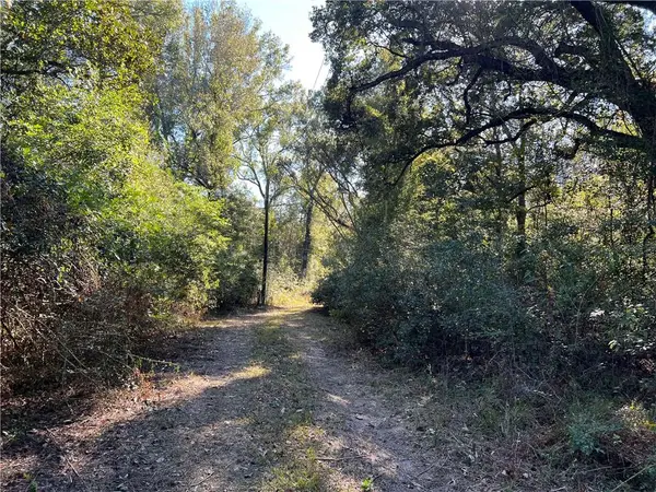 41197 Hwy 445 Highway, Ponchatoula, LA 70454