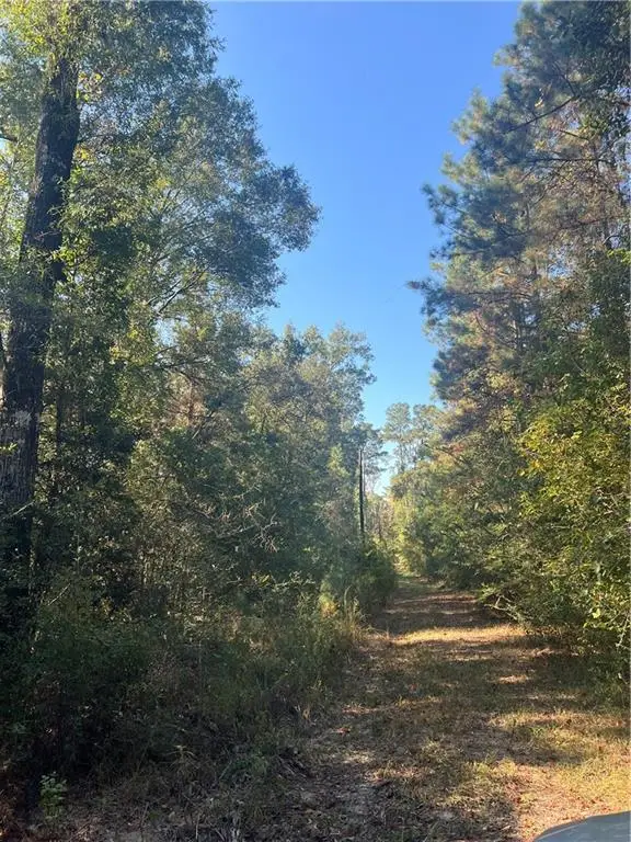 41197 Hwy 445 Highway, Ponchatoula, LA 70454 - #2