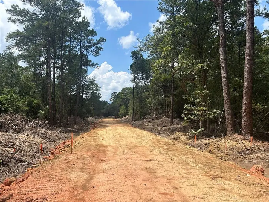 Pellegrin Drive, Covington, LA 70435 - #2