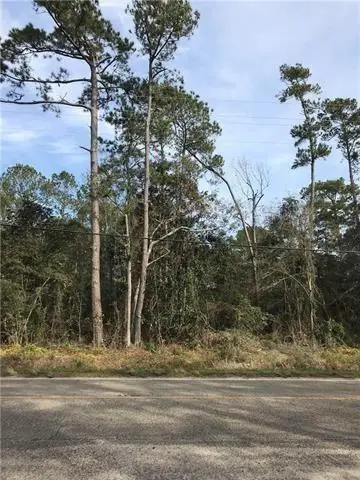Old Spanish Trail Trail, Slidell, LA 70461 - #1