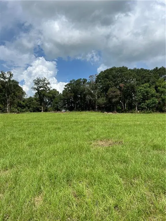 1058 Highway, Kentwood, LA 70444 - #3