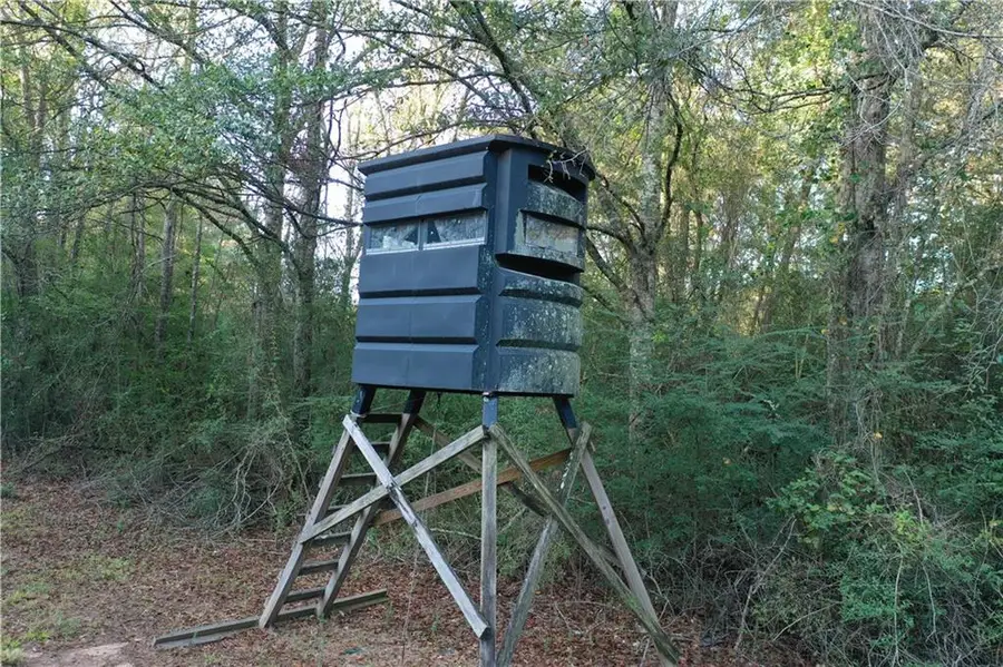 La 438 Highway, Mount Hermon, LA 70450 - #3