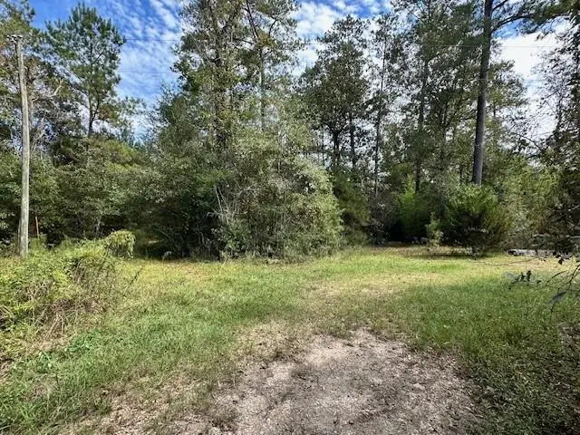 21370 John D Wood Road, Franklinton, LA 70438 - #1