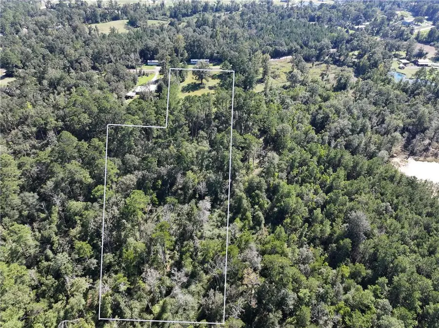 Blood River Road Road, Springfield, LA 70462 - #2