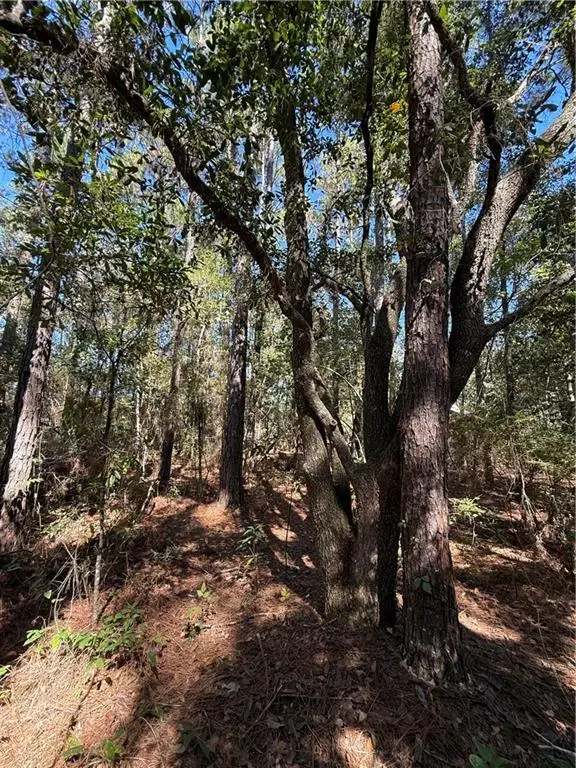 Baham Road, Covington, LA 70433 - #3