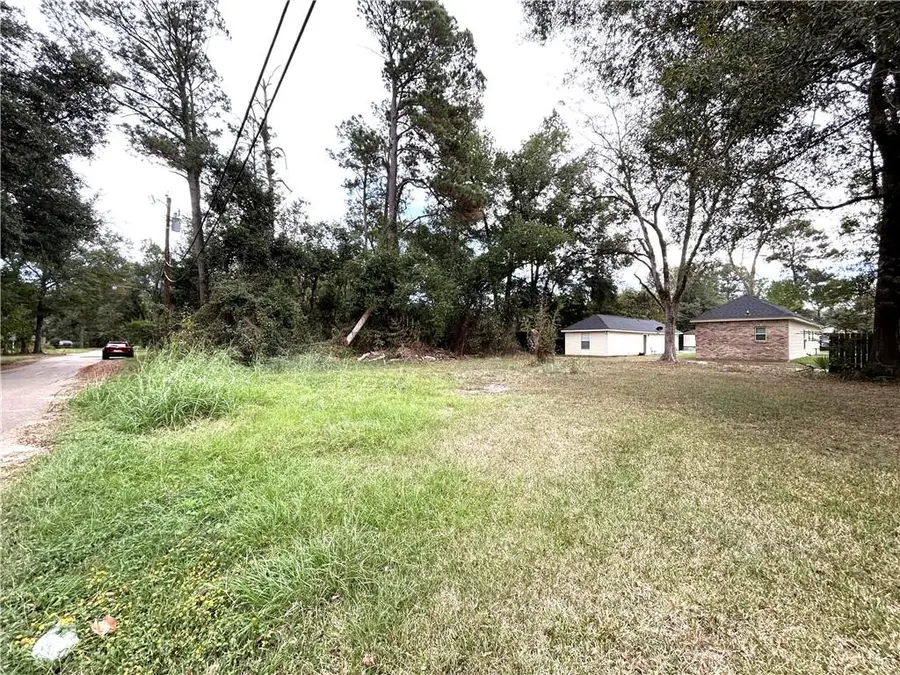 104 E Newman Street, Hammond, LA 70403 - #3