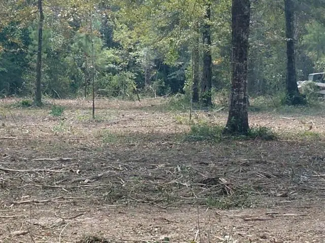 22912 Hwy 40 Highway, Bush, LA 70431 - #2