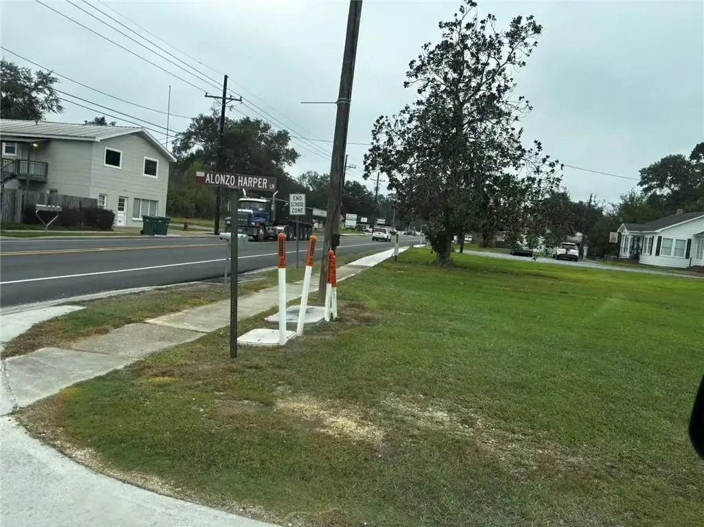29830 N Montpelier Avenue, Albany, LA 70711 - #1