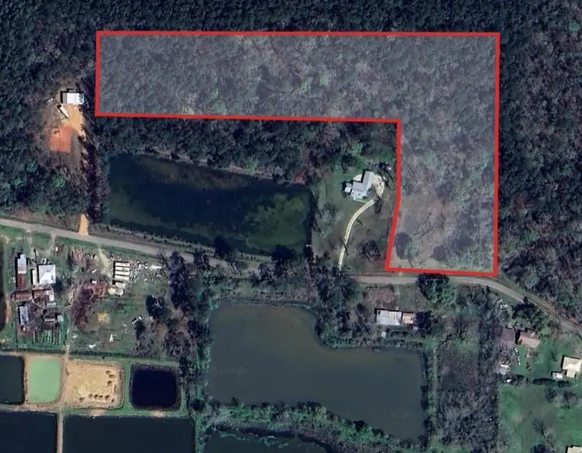 Bennett Road, Holden, LA 70744 - #2