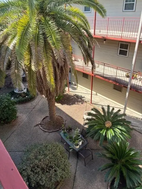 2500 Houma Boulevard #303, Metairie, LA 70001 - #3