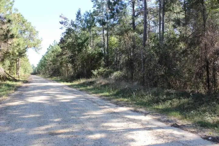 Old Gainsville - Pearlington Road, Pearlington, MS 39572 - #2