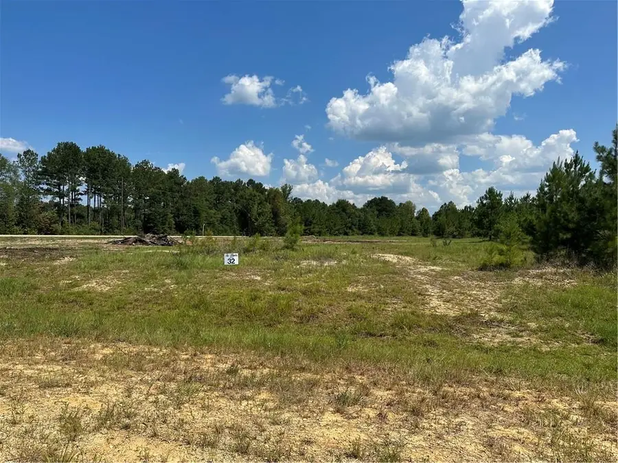 Lot 32 The Banks Drive, Hwy 16 Highway, Franklinton, LA 70438 - #3
