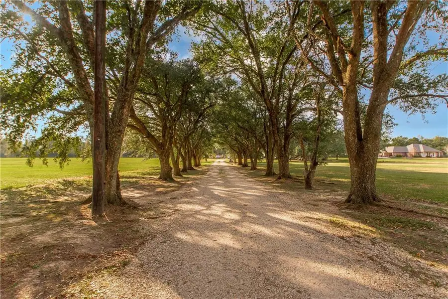 30997 La-22 Highway, Springfield, LA 70462 - #2