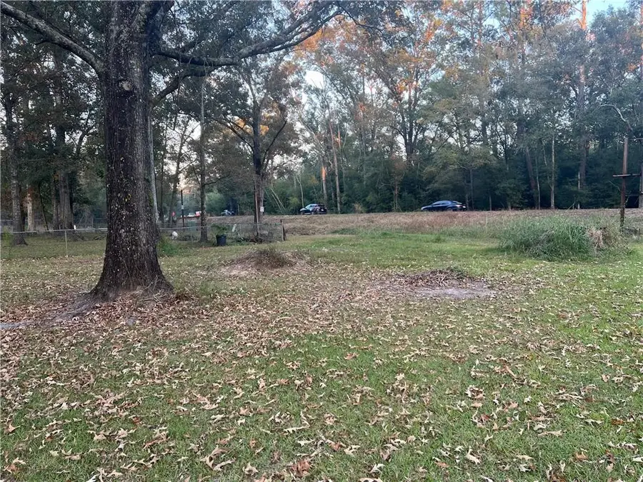 25361 Juban Road, Denham Springs, LA 70726 - #2