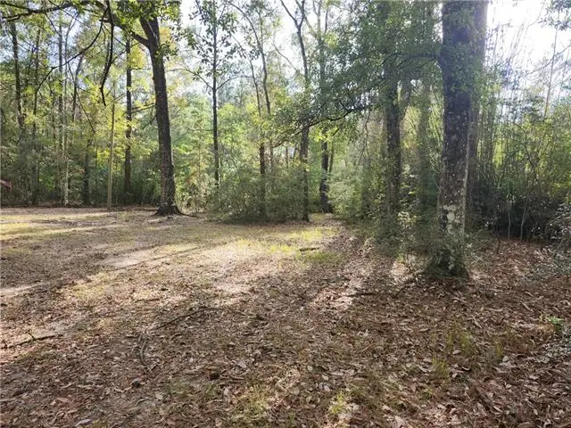 73414 River Road Road, Covington, LA 70435 - #3