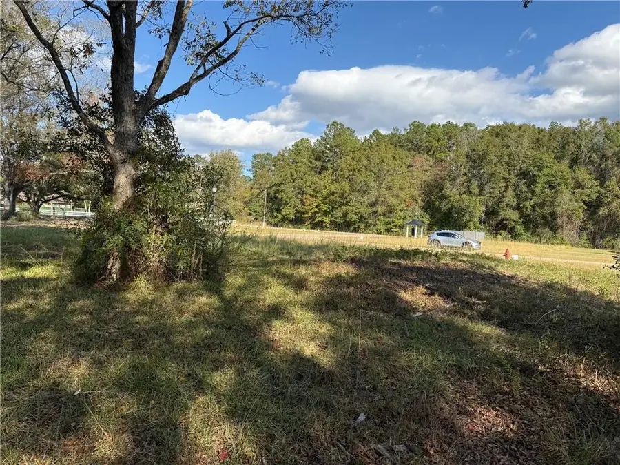 43485 Springwood Way, Hammond, LA 70401 - #3