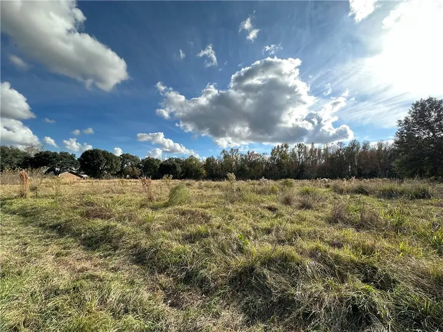 516 Theophile Road, Ville Platte, LA 70586 - #3