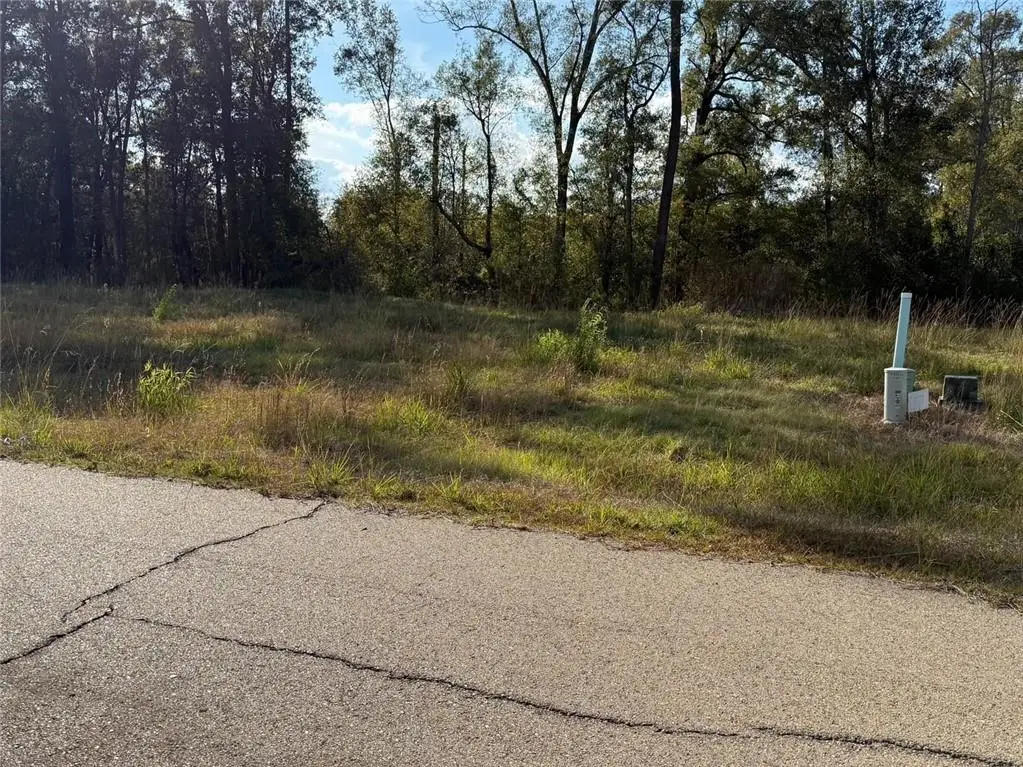 43439 Springwood Way, Hammond, LA 70401 - #1