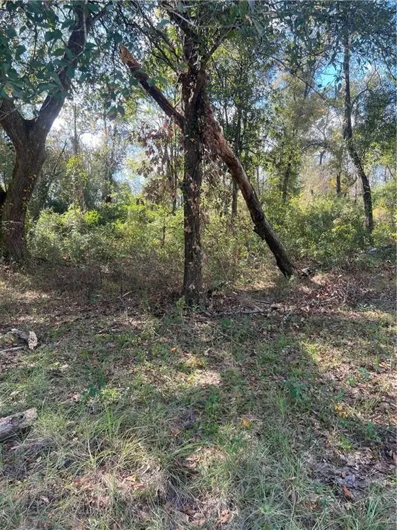 Lot 265 Arbor Drive, Robert, LA 70455 - #2