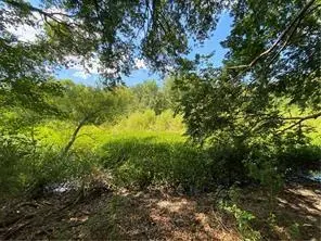 Poydras Plant Lot 10 Other, Saint Bernard, LA 70085 - #2