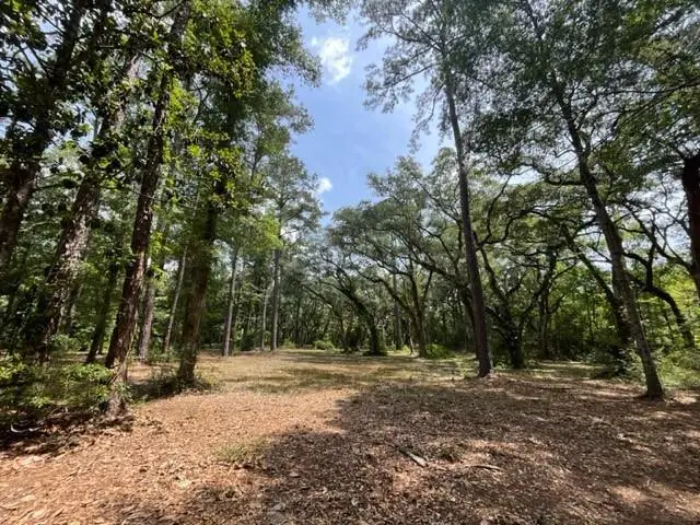 00000 Louisville Street, Lacombe, LA 70445 - #2