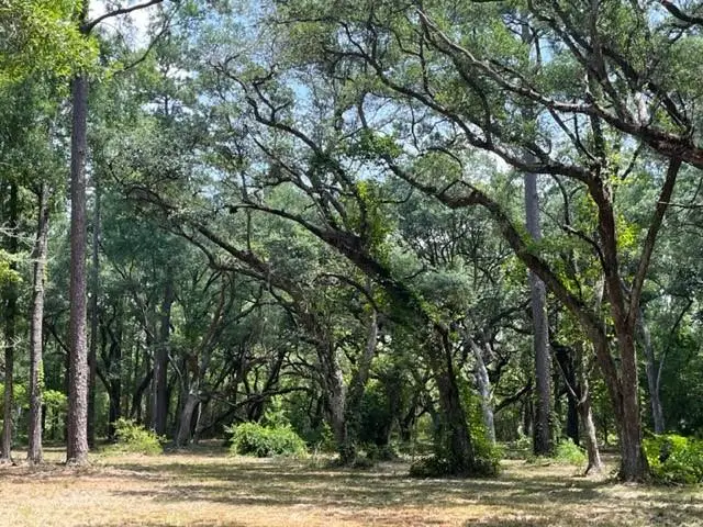 00000 Louisville Street, Lacombe, LA 70445 - #3