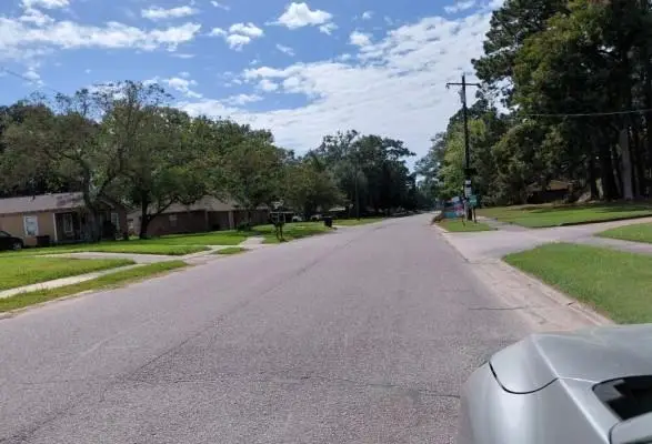 4162 Pasadena Drive, Baton Rouge, LA 70814 - #2