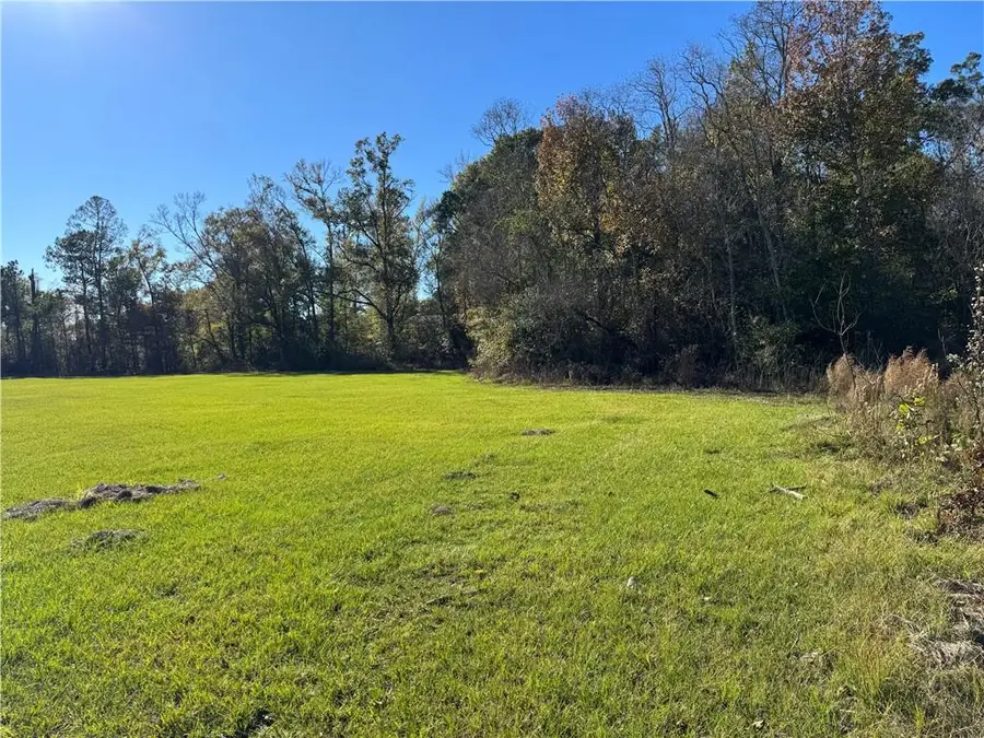 TBD 1-B La-22 Highway, Springfield, LA 70462 - #2