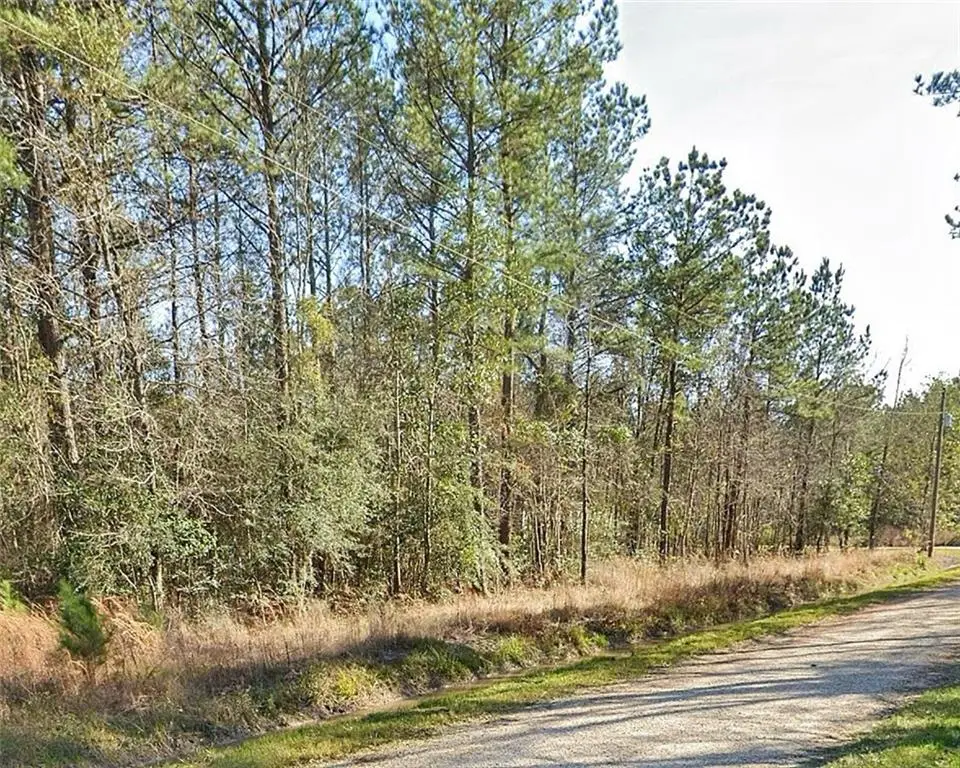 Par Street, Abita Springs, LA 70420 - #1