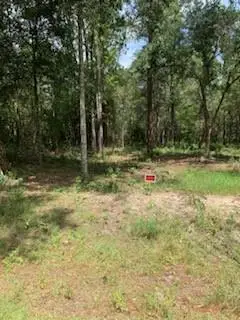 Cypress Street, Lacombe, LA 70445 - #3