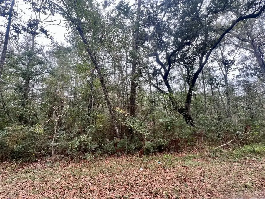Lot 339A N Oaklawn Drive, Lacombe, LA 70445 - #2