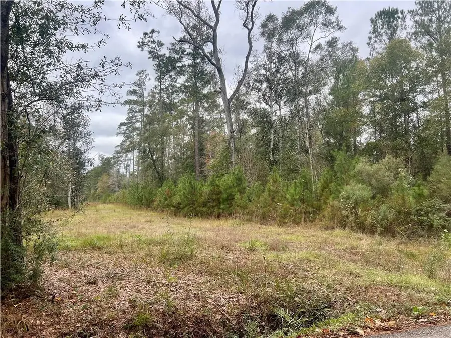 Lot 339A N Oaklawn Drive, Lacombe, LA 70445 - #3