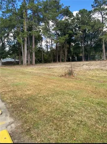 800 E Pine Street, Ponchatoula, LA 70454 - #2