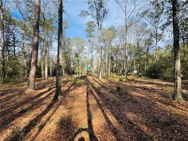 79789 N Willie Road, Folsom, LA 70437