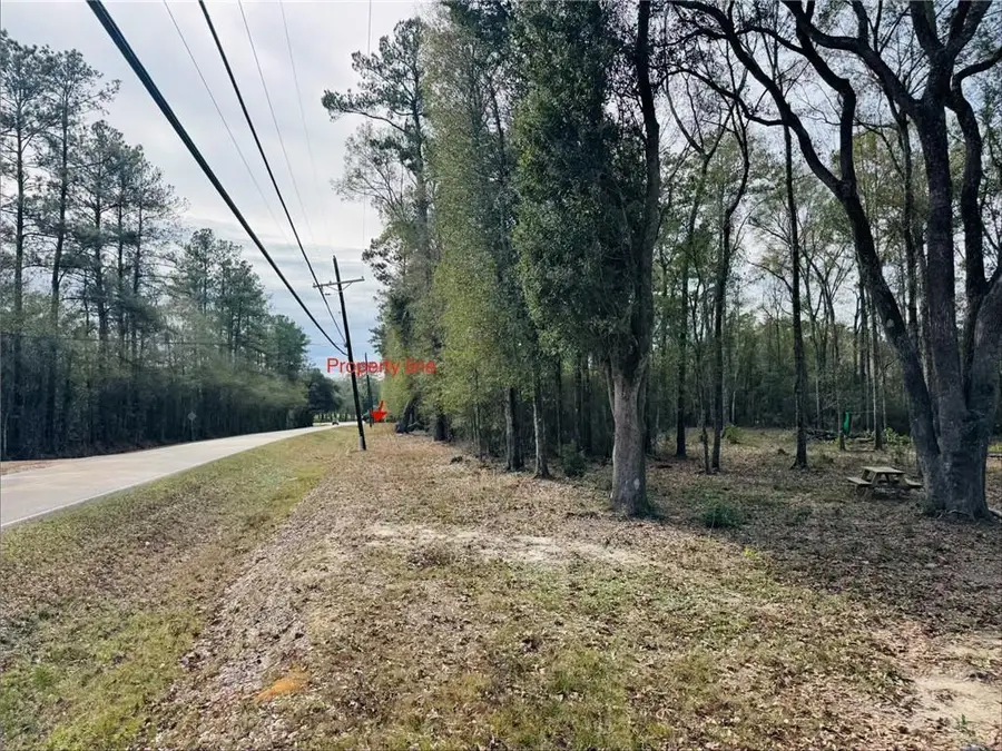 79789 N Willie Road, Folsom, LA 70437 - #3