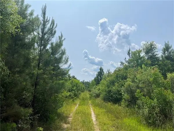 1439 Leonard Chapel Road, Independence, LA 70443
