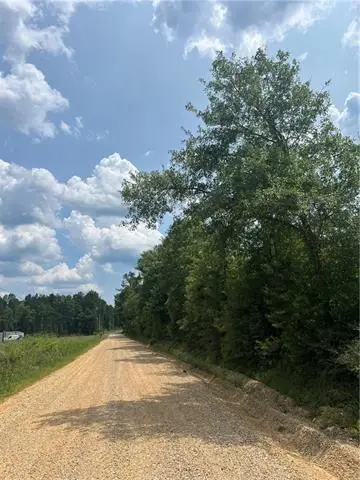 1439 Leonard Chapel Road, Independence, LA 70443 - #3