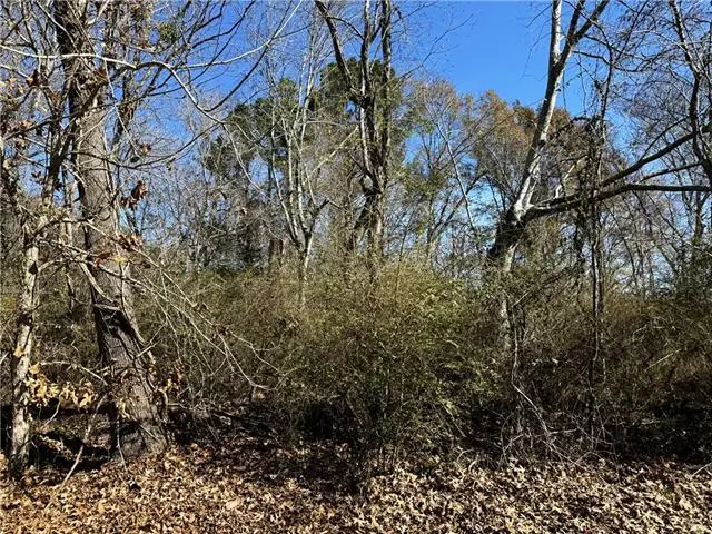 1251 Bayou Drive, Mandeville, LA 70448 - #2