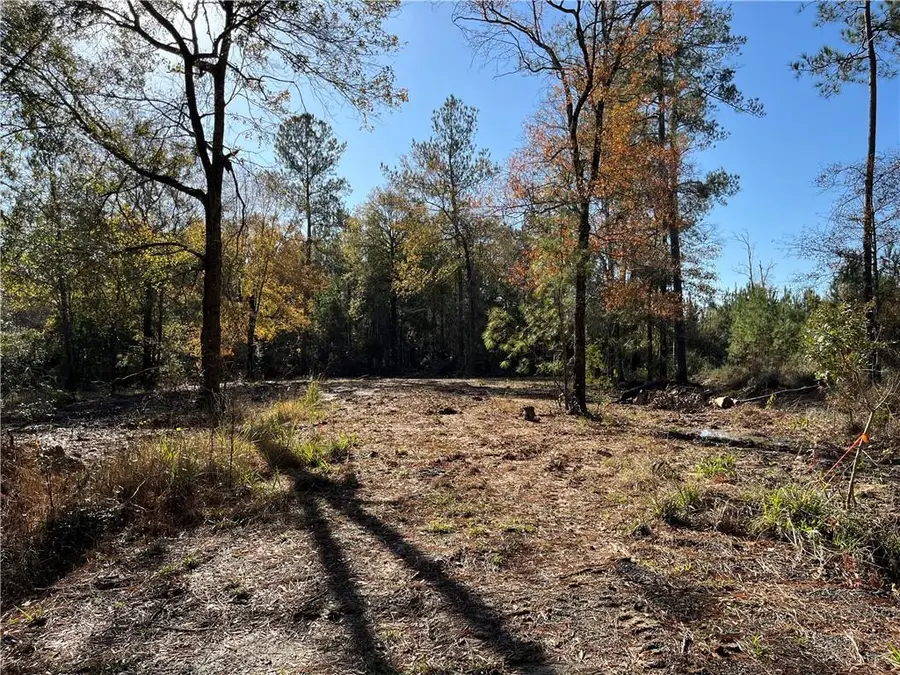 30840 Hubert Stilley Road, Independence, LA 70443 - #2