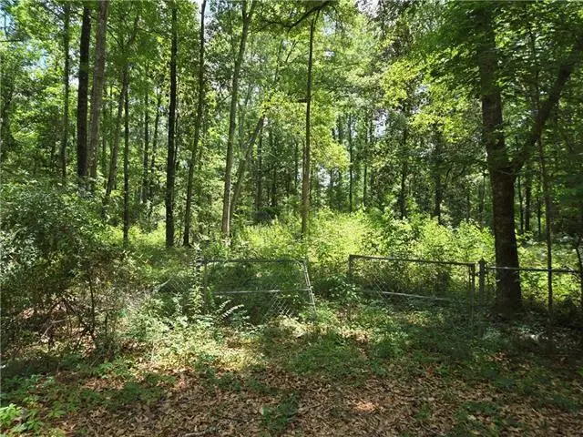 E 5th Street, Covington, LA 70433 - #1