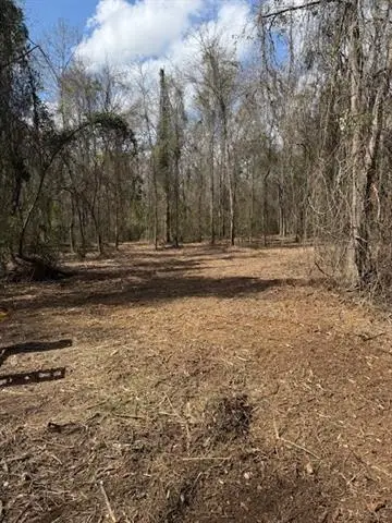 0 Wild Cherry Trace, Bush, LA 70431 - #1