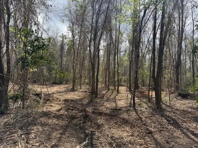 0 Wild Cherry Trace, Bush, LA 70431 - #3