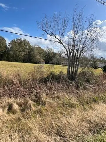 TBD Airport Road, Hammond, LA 70403 - #3