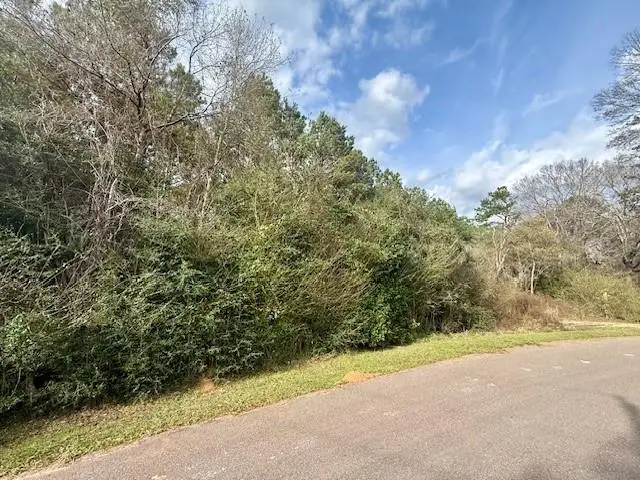00 Burch Road, Mount Hermon, LA 70450 - #1