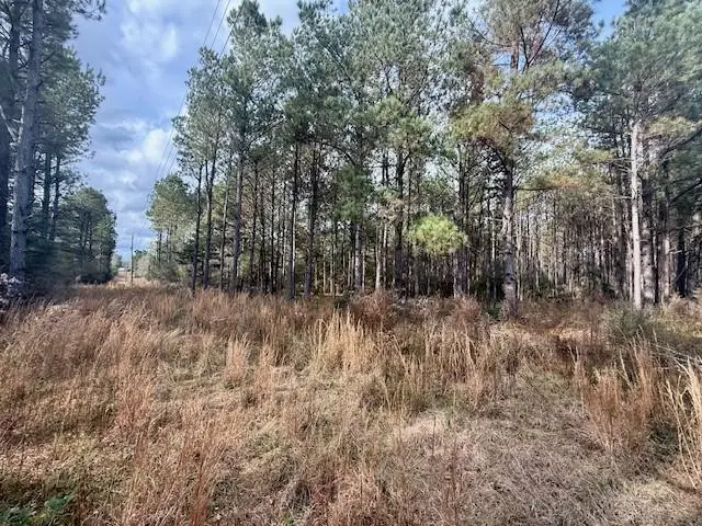 00 Burch Road, Mount Hermon, LA 70450 - #2